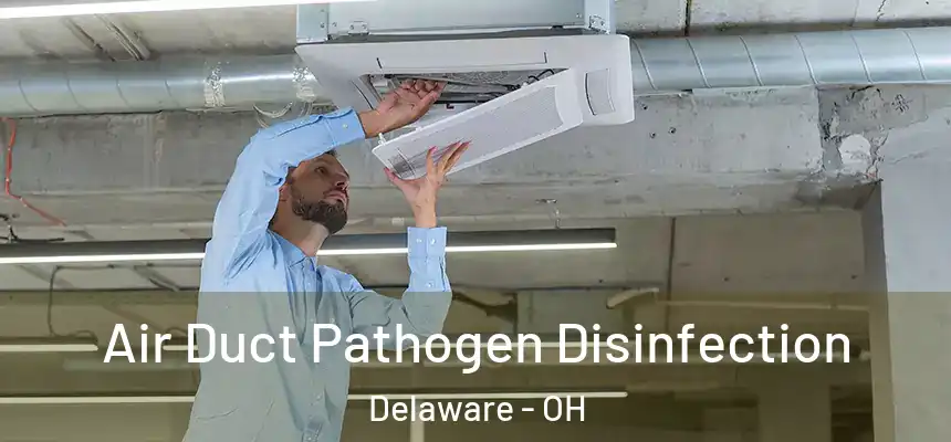 Air Duct Pathogen Disinfection Delaware - OH