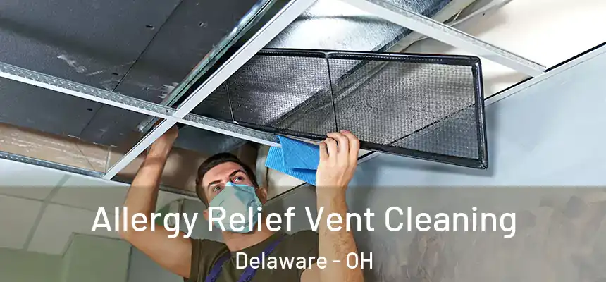 Allergy Relief Vent Cleaning Delaware - OH