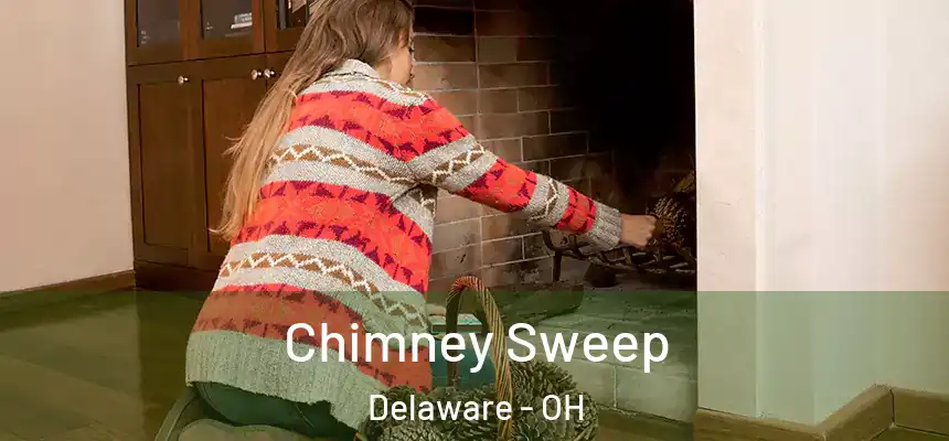 Chimney Sweep Delaware - OH