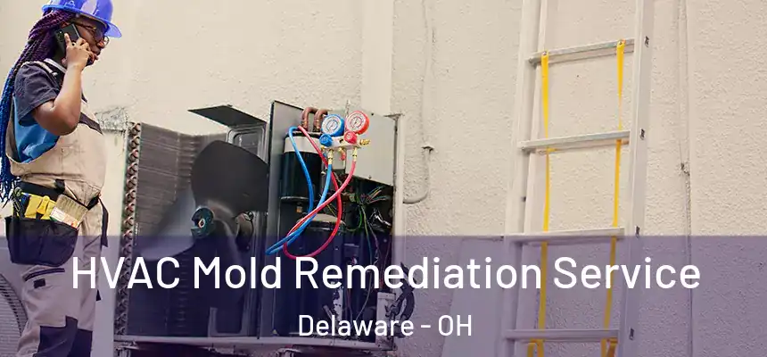  HVAC Mold Remediation Service Delaware - OH