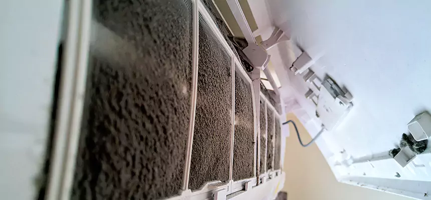 Preventive Air Duct Bacteria Removal in Delaware