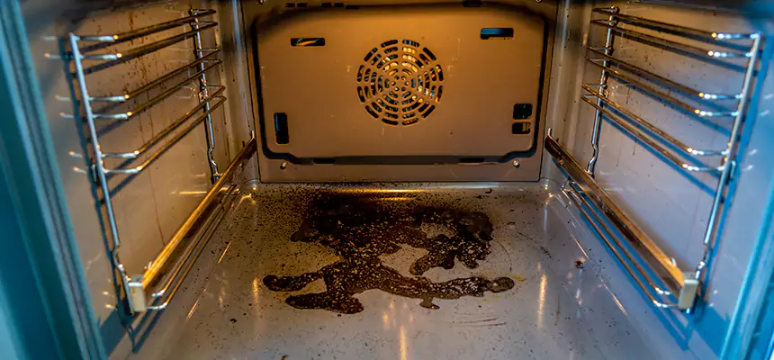 Our Dryer Vent Mold Cleaning Services in Delaware, OH