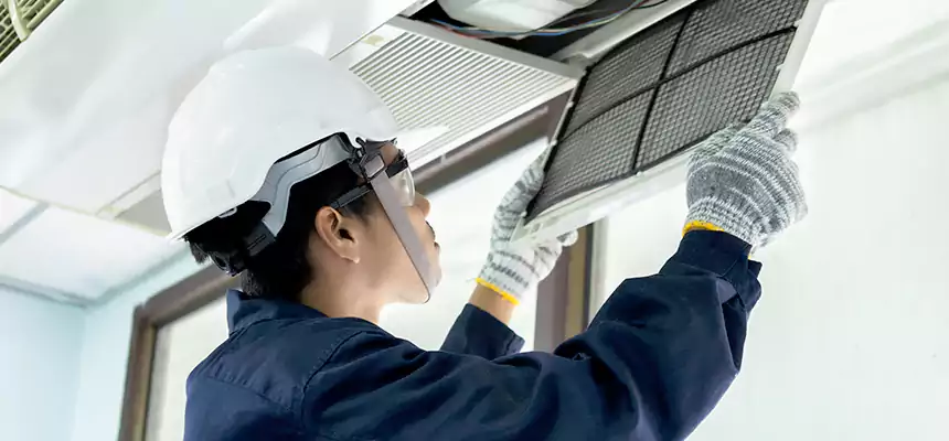 Our Mold & Mildew Removal from Air Ducts Services in Delaware, OH