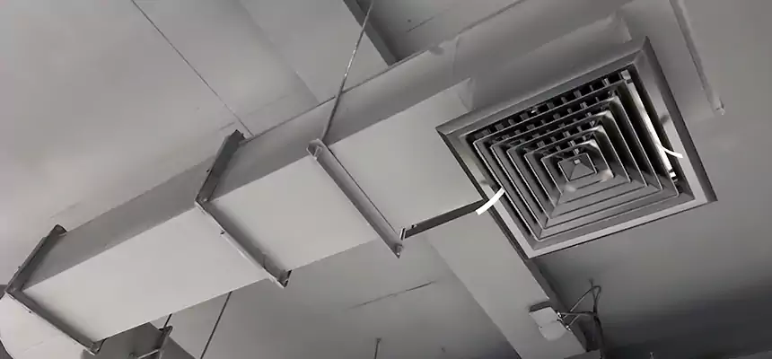 Our Pest Removal From Ducts Services in Delaware, OH