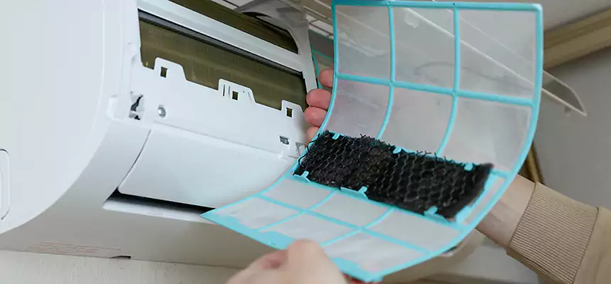 Gentle Ductwork Odor-Control Pet Dander Duct Cleaning in Delaware, OH