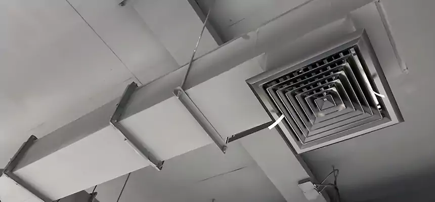 Our Rodent Droppings In Vents Services in Delaware, OH