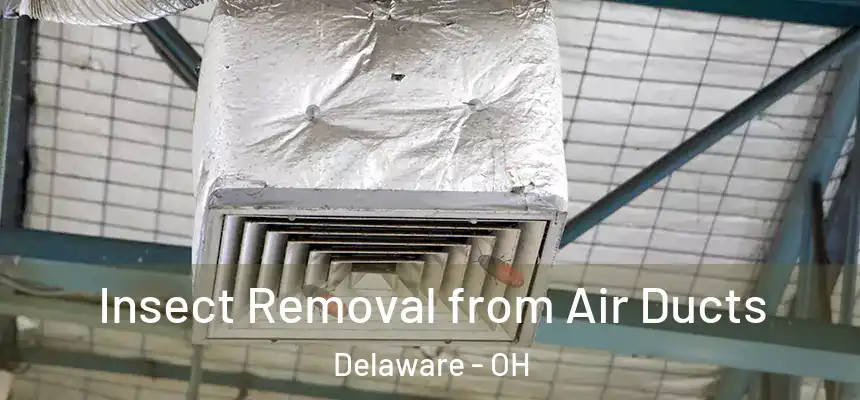 Insect Removal from Air Ducts Delaware - OH