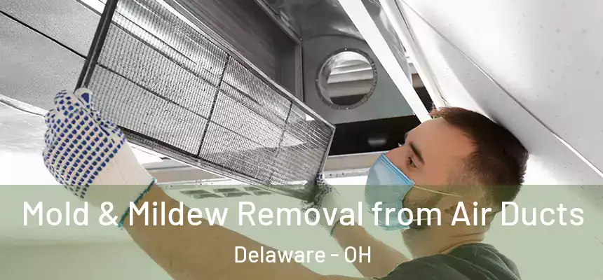  Mold & Mildew Removal from Air Ducts Delaware - OH