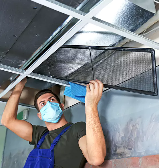 About Air Duct Bacteria Removal in Delaware