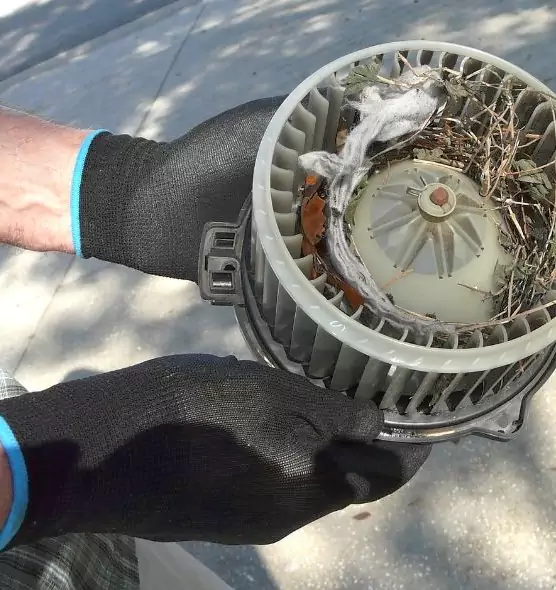 About Air Duct Mice Removal in Delaware, OH