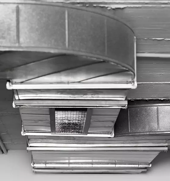 Professional Air Duct Pest Removal in Delaware, OH