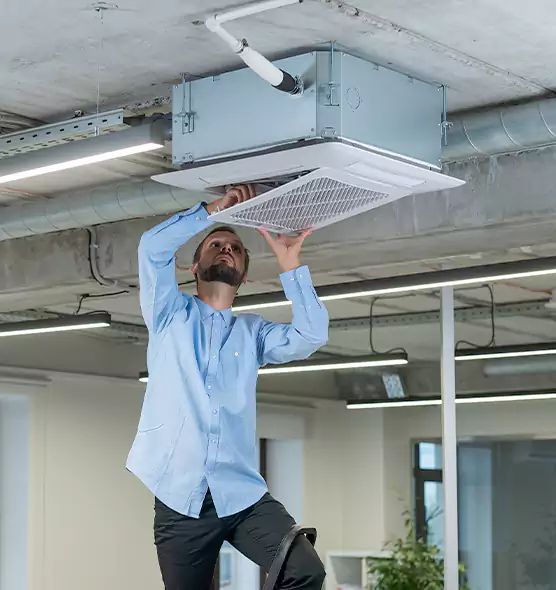 Advanced Rodent Droppings In Vents in Delaware, OH