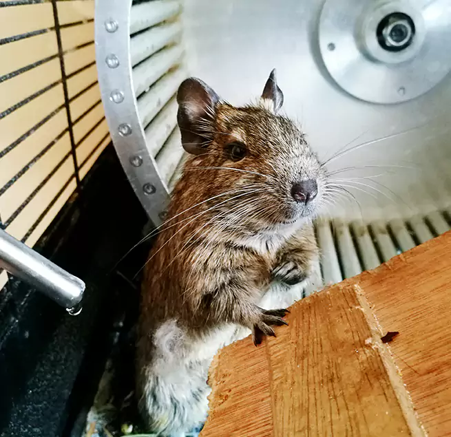 Why Homeowners & Businesses Trust Us Delaware, OH?