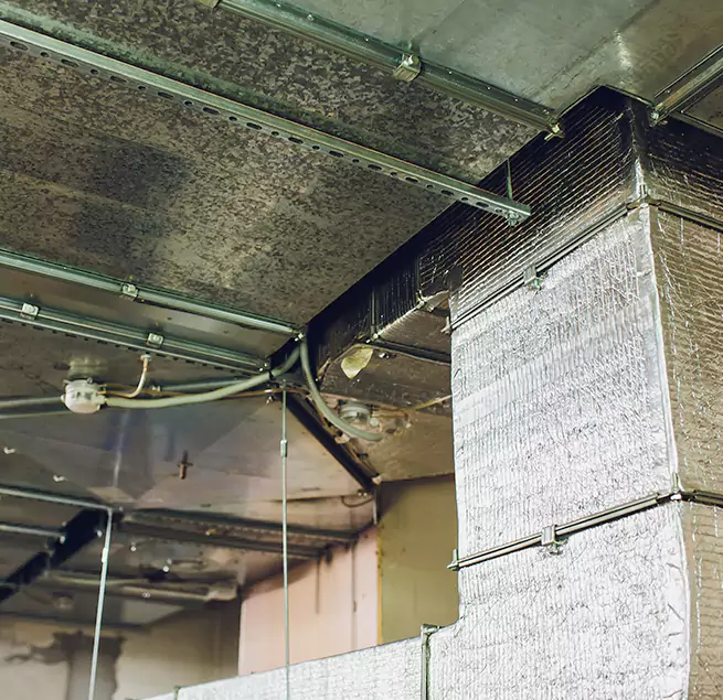 Why Homeowners & Businesses Trust Us in Delaware, OH?